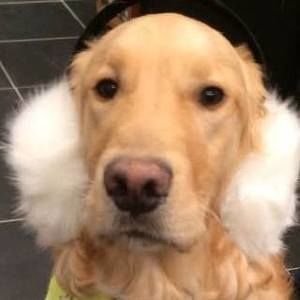 Meet your Posher, Francesca